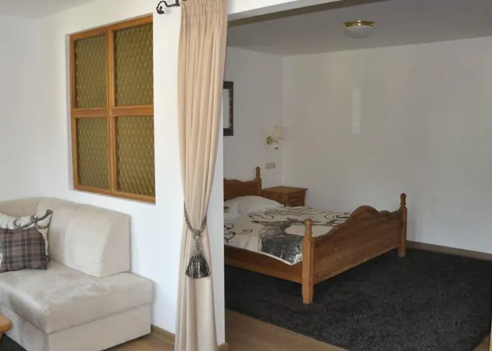 Hotel Central Hotell 4*