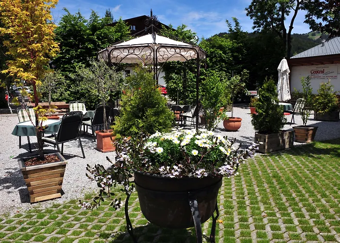 Отель Hotel Central